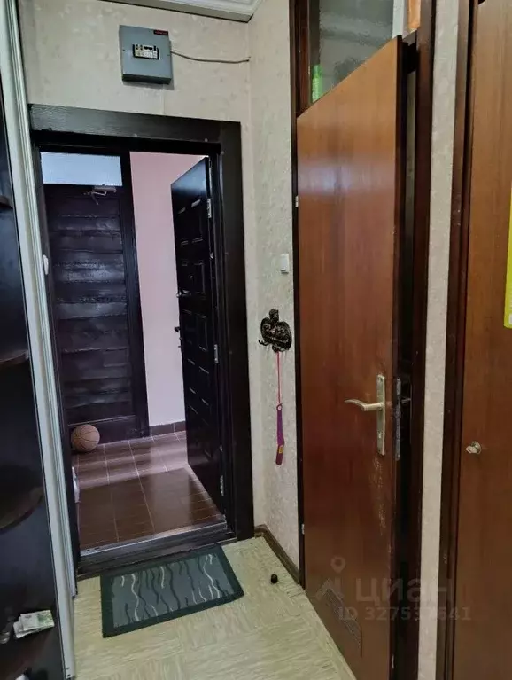 1-к кв. Крым, Ялта ул. Блюхера, 40 (27.7 м) - Фото 2