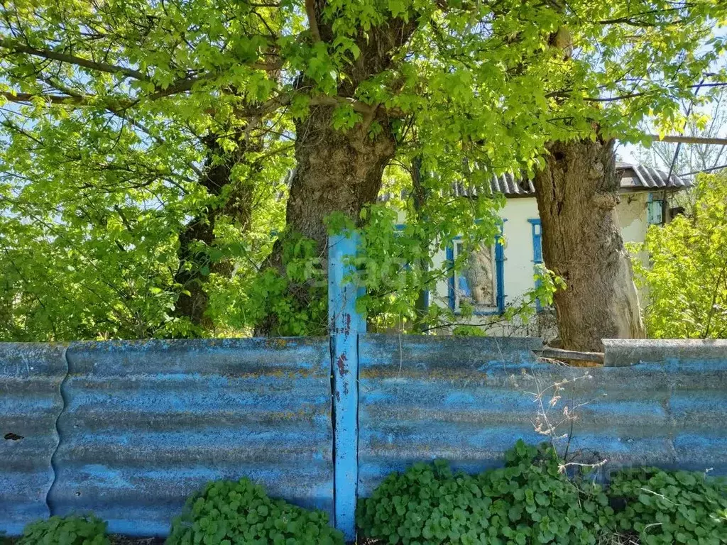 Дом в Белгородская область, Красногвардейский район, Валуйчанское ... - Фото 0