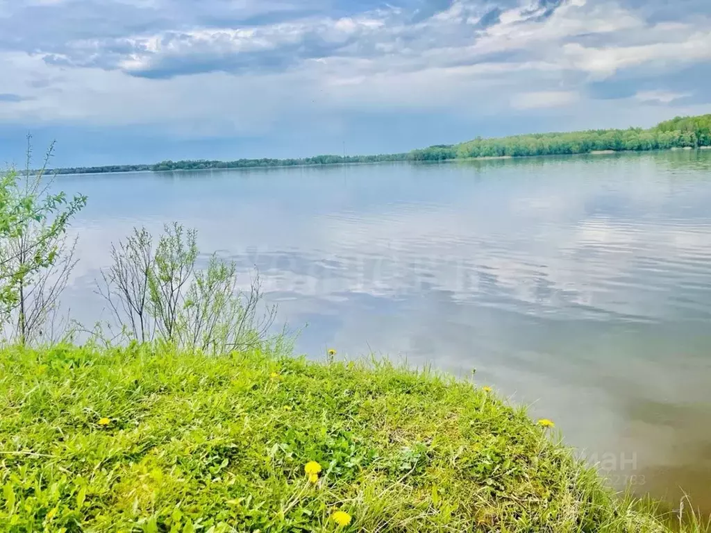 Участок в Московская область, Можайский муниципальный округ, Новое ... - Фото 2