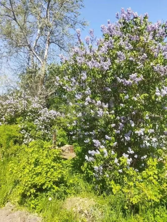 Участок в Калининградская область, Гурьевский муниципальный округ, ... - Фото 2