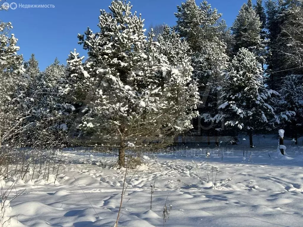 Участок в посёлок Быково, Центральная улица (15 м) - Фото 2