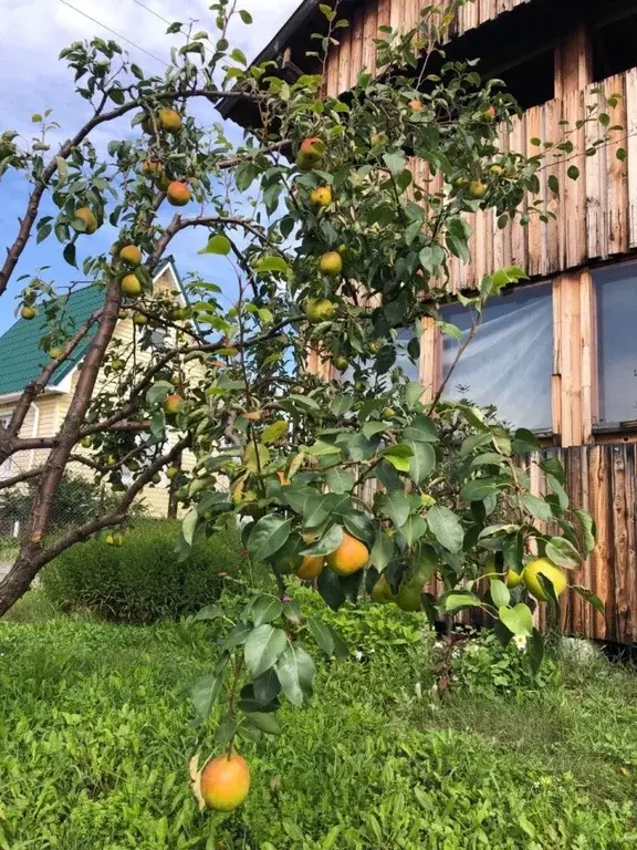 Дом в Челябинская область, Аргаяшский муниципальный округ, Кировский ... - Фото 1