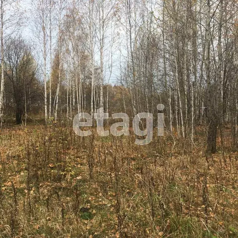 Участок в Ирбит, Благодатная улица (9.3 м) - Фото 1