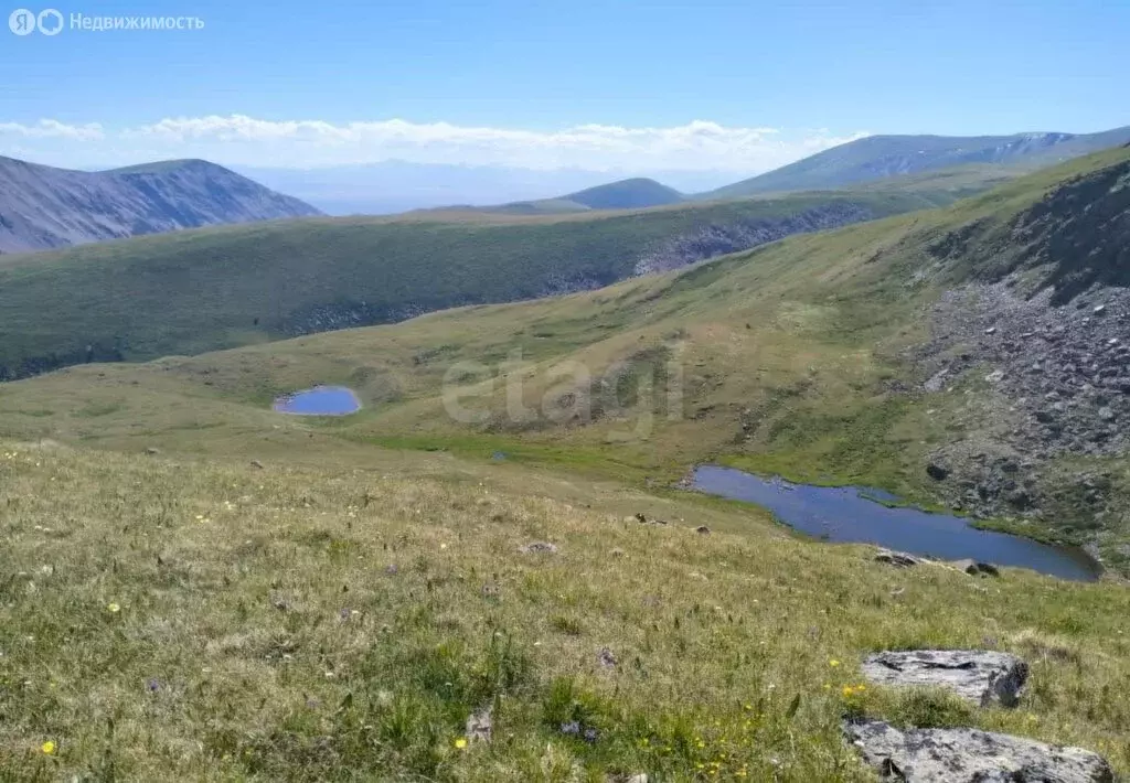 Участок в Республика Алтай, село Кош-Агач (18.3 м) - Фото 1