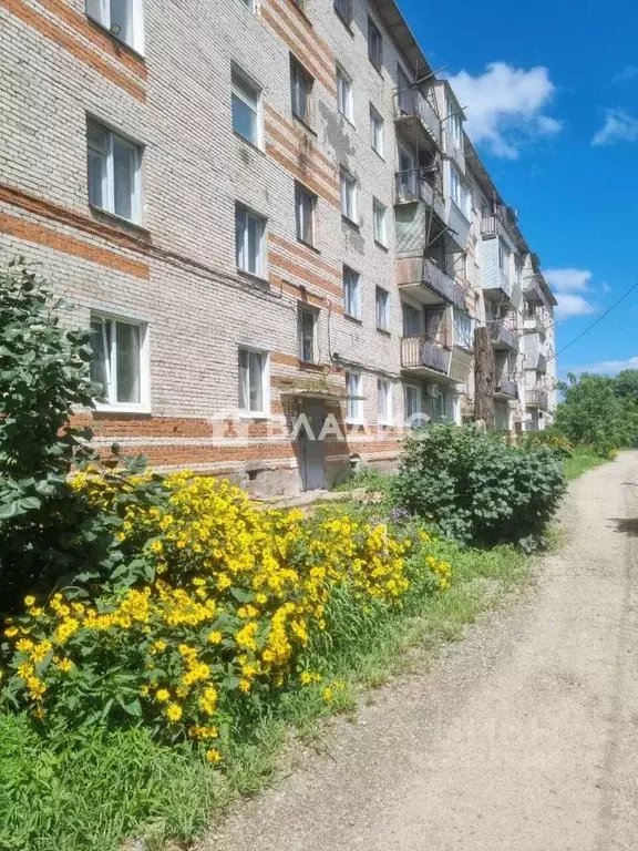 3-к кв. Приморский край, Уссурийский городской округ, с. Воздвиженка ... - Фото 1