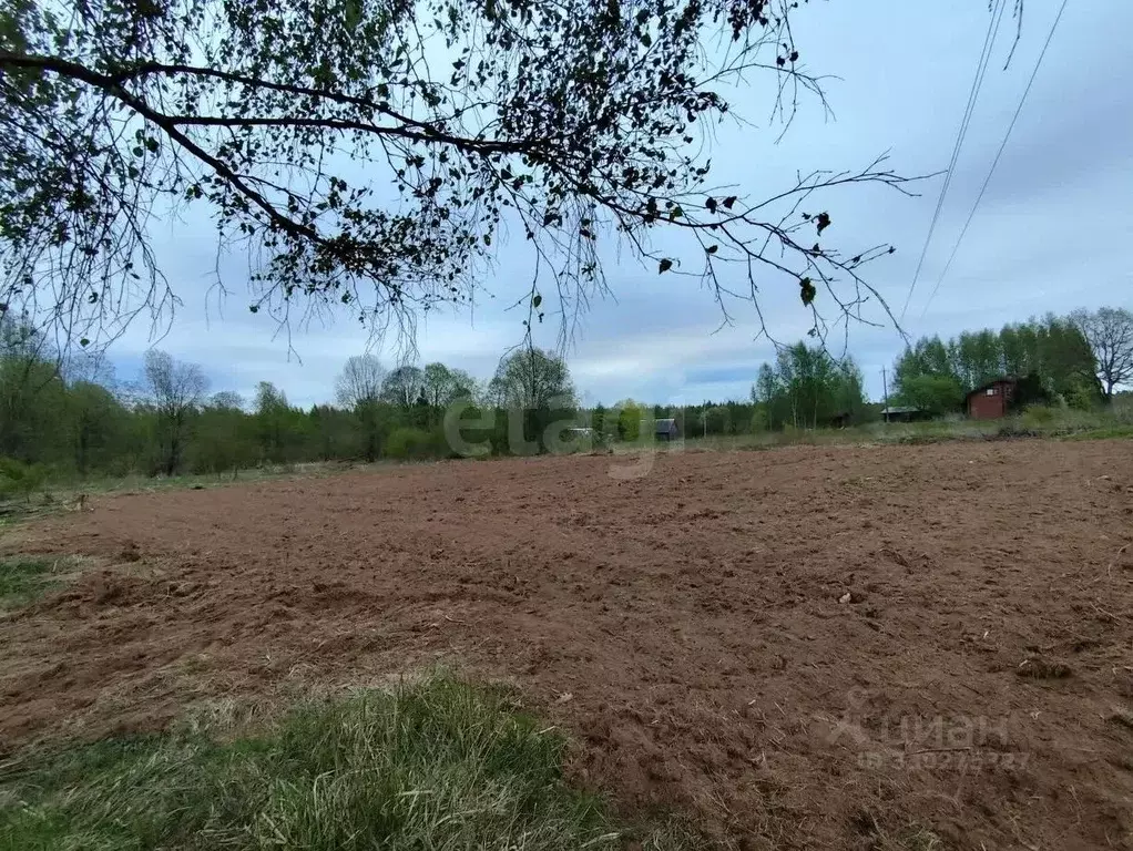 Участок в Ленинградская область, Киришский район, Будогощское ... - Фото 2