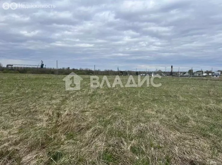Участок в Заря, 38 (26 м) - Фото 1