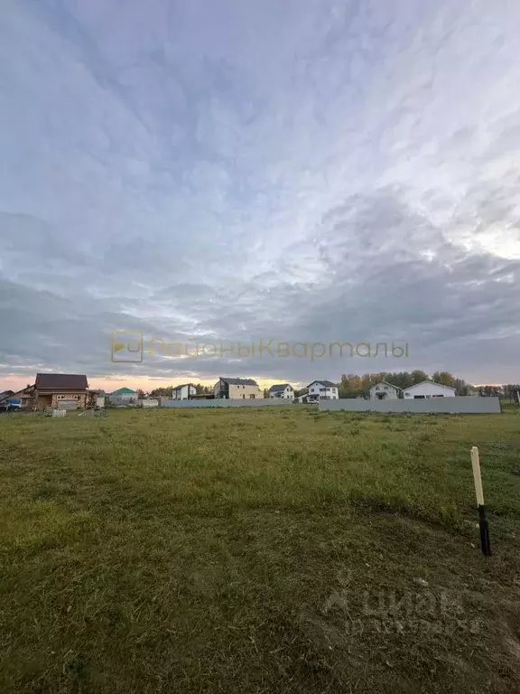 Участок в Новосибирская область, Новосибирский район, Сибирские ... - Фото 1