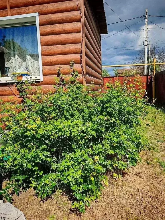 Дом в Ростовская область, Батайск Киевская ул. (76 м) - Фото 2