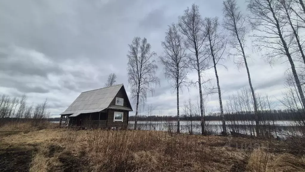 Участок в Ленинградская область, Лужский район, Осьминское с/пос  ... - Фото 1