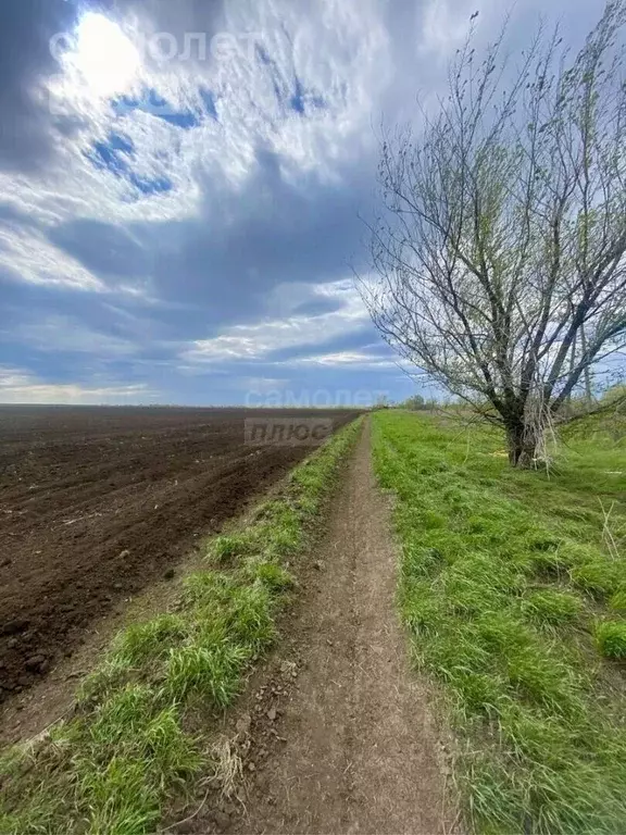 Участок в Оренбургская область, Оренбургский район, с. Ивановка ... - Фото 1