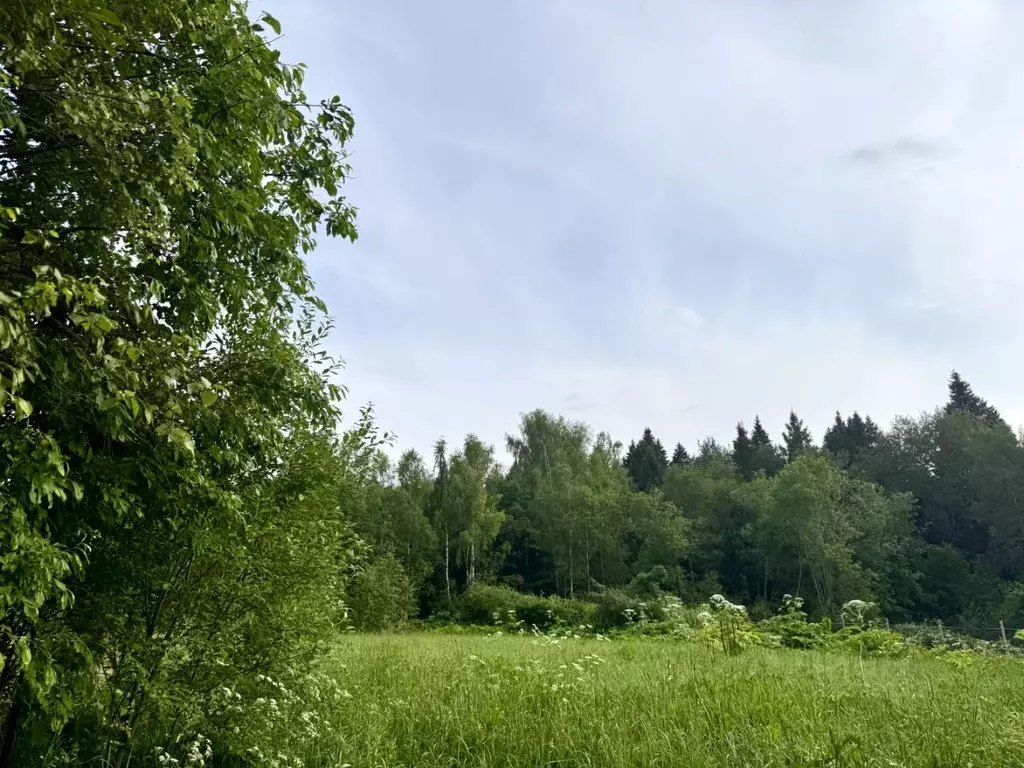 Участок в Московская область, Солнечногорск городской округ, д. ... - Фото 0