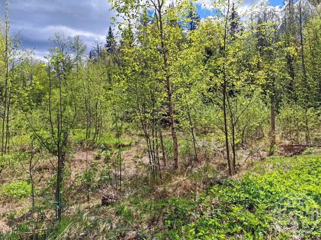 Участок в Ленинградская область, Выборгский район, Полянское с/пос, ... - Фото 1