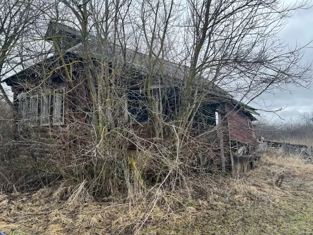 Участок в Владимирская область, Судогодский район, д. Степаново 77 ... - Фото 1