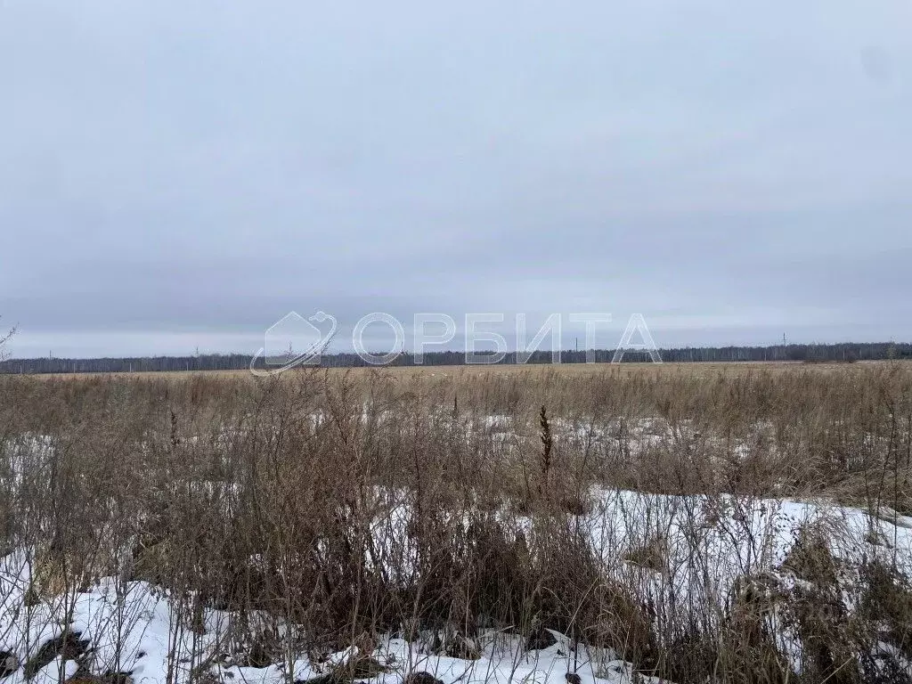Участок в Тюменская область, Тюменский район, д. Елань  (6.75 сот.) - Фото 0