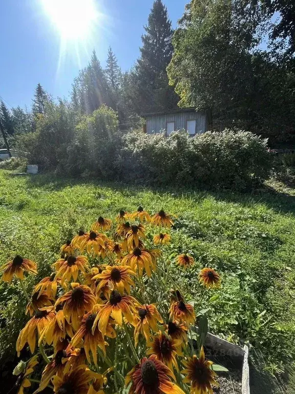 Дом в Ленинградская область, Выборгский район, Селезневское с/пос, ... - Фото 1