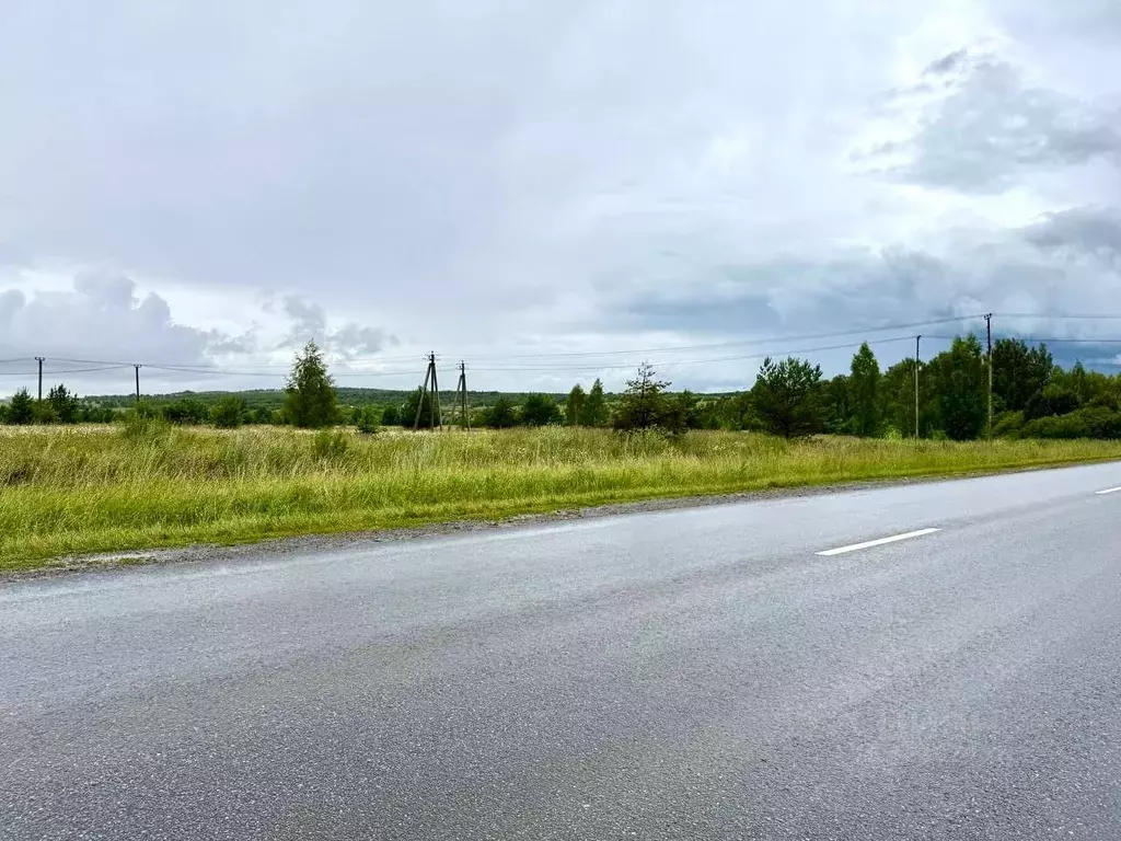 Участок в Татарстан, Пестречинский район, Богородское с/пос  (10.0 ... - Фото 1