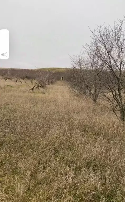 Участок в Крым, Бахчисарайский район, с. Вилино  (100.0 сот.) - Фото 0