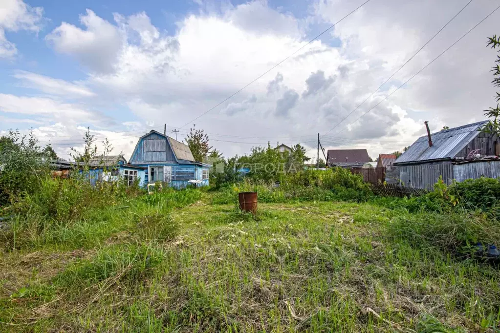 Участок в Новосибирская область, Новосибирск Березка садовое ... - Фото 0
