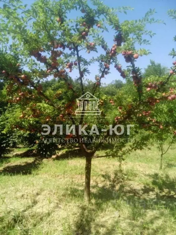 Участок в Краснодарский край, Туапсинский муниципальный округ, ... - Фото 1