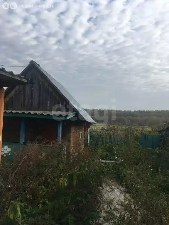 Дом в Болотнинский район, деревня Малиновка, Центральная улица (67 м) - Фото 1
