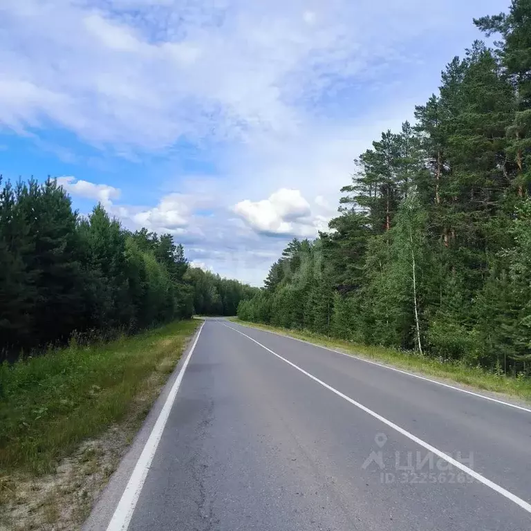 Участок в Тюменская область, Тюменский муниципальный округ, с. Кулига ... - Фото 1