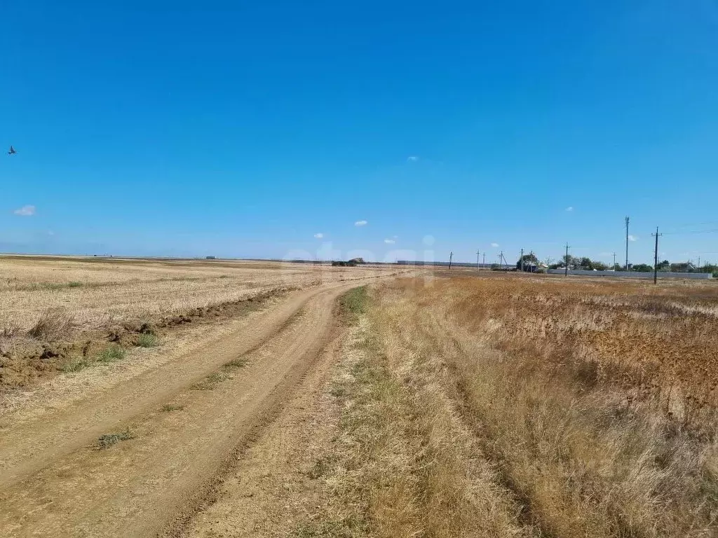 Участок в Крым, Кировский район, с. Владиславовка ул. Виноградная ... - Фото 1