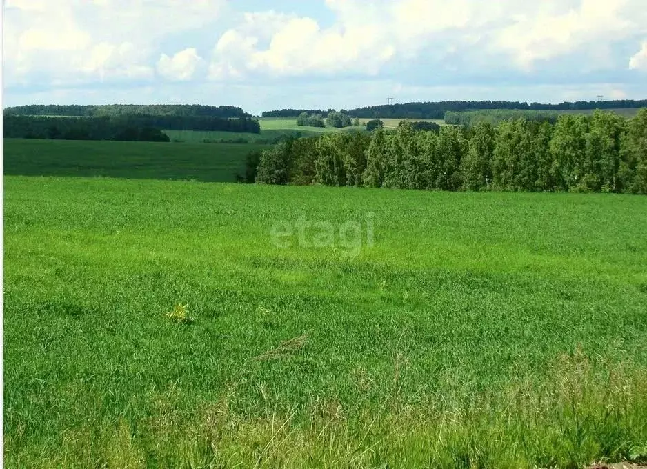 Участок в Свердловская область, Заречный  (750.0 сот.) - Фото 1