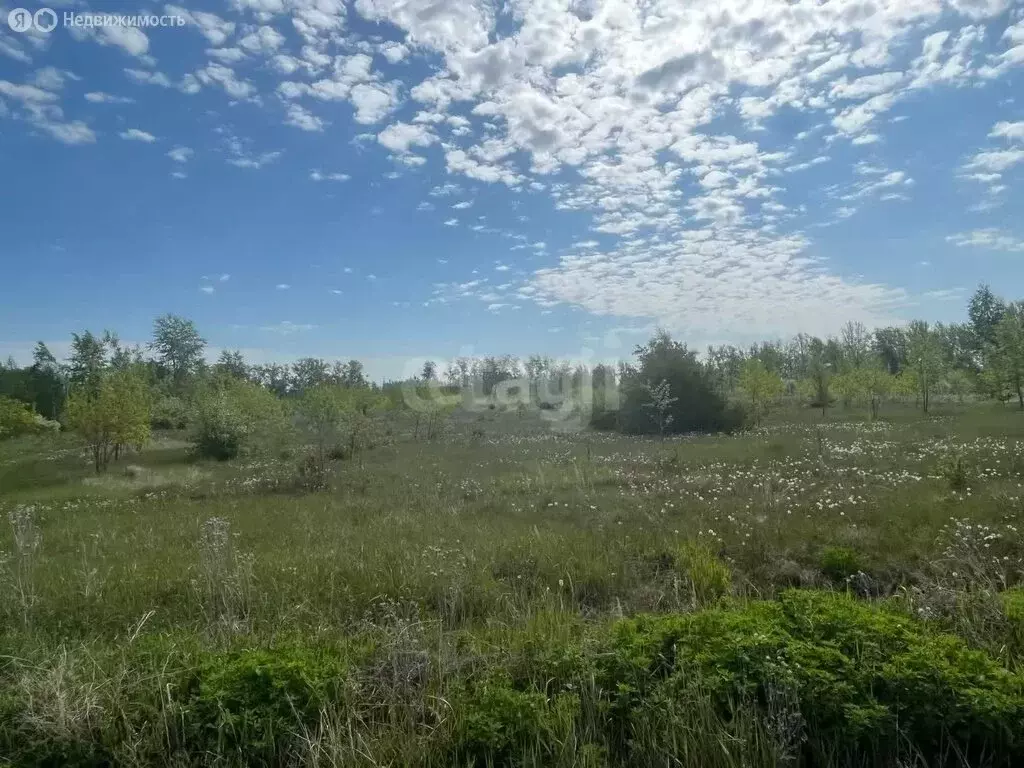 Участок в посёлок Плодопитомник, Тенистая улица (15.27 м) - Фото 2