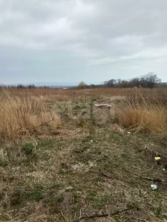 Участок в Приморский край, Артем ул. Заслонова (6.0 сот.) - Фото 0