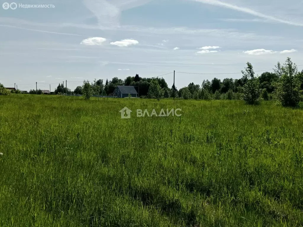 Участок в Вологодский муниципальный округ, деревня Мальгино (Подлесный ... - Фото 0