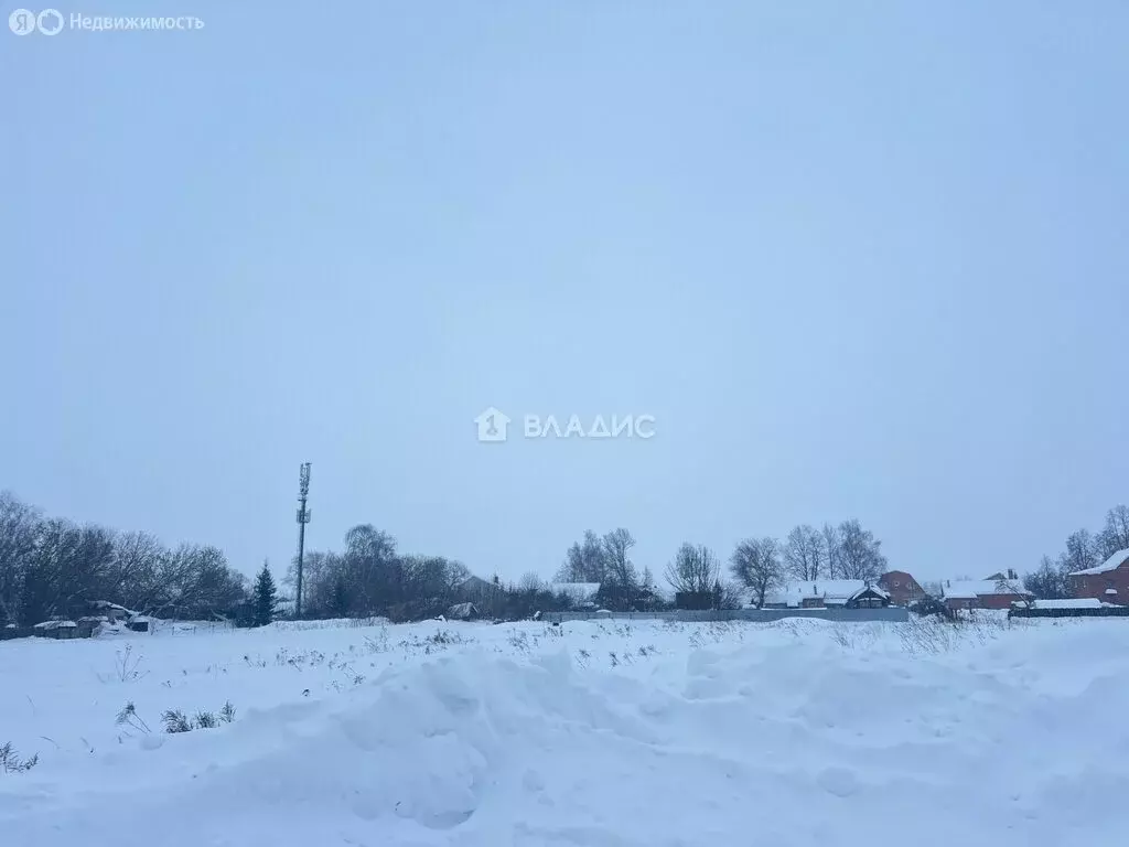 Участок в Московская область, муниципальный округ Луховицы, село ... - Фото 2