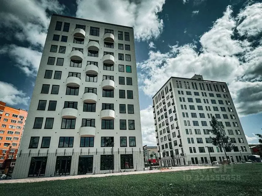 3-к кв. Липецкая область, Елец Радиотехническая ул., 11с1 (72.7 м) - Фото 1