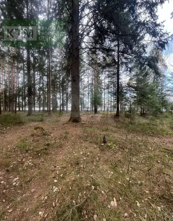 Участок 17 сот. (СНТ, ДНП) - Фото 0