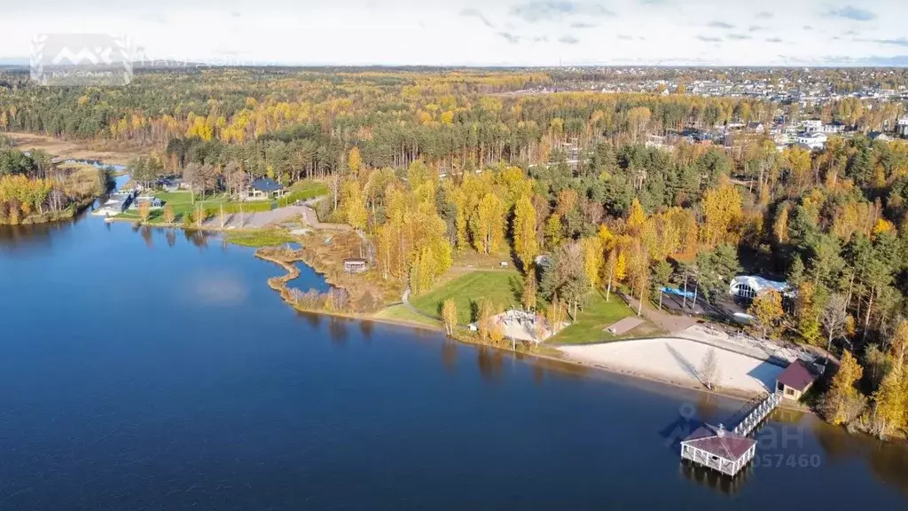 Участок в Ленинградская область, Всеволожский район, Лесколовское ... - Фото 2
