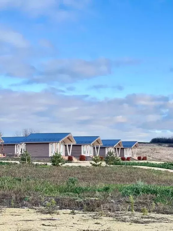 Дом в Орловская область, Новодеревеньковский район, с. Старогольское ... - Фото 1