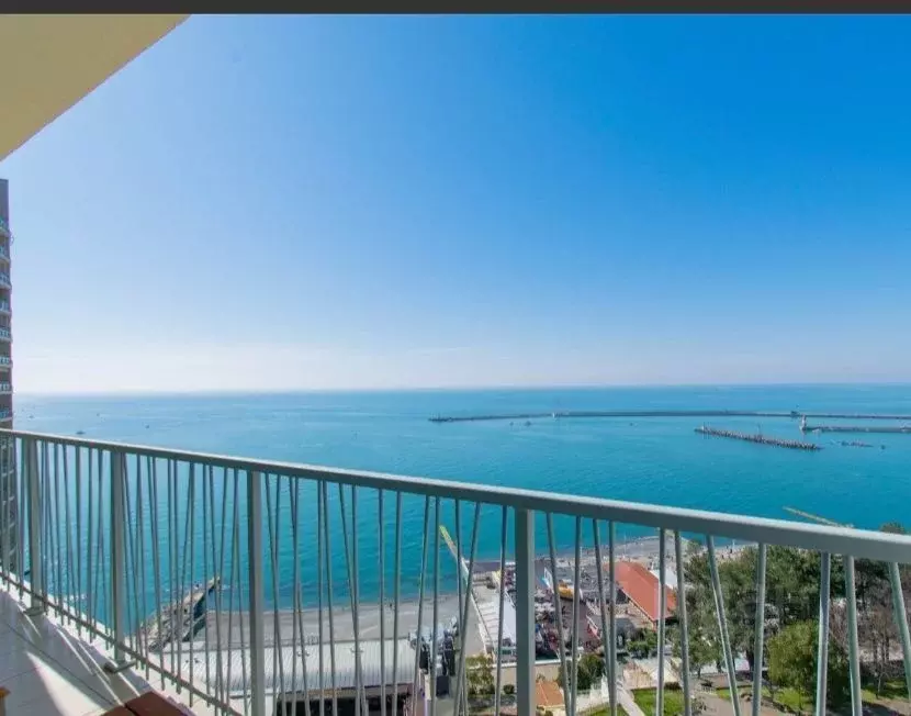 2-к кв. Краснодарский край, Сочи Центральный мкр, ул. Орджоникидзе, 11 ... - Фото 2