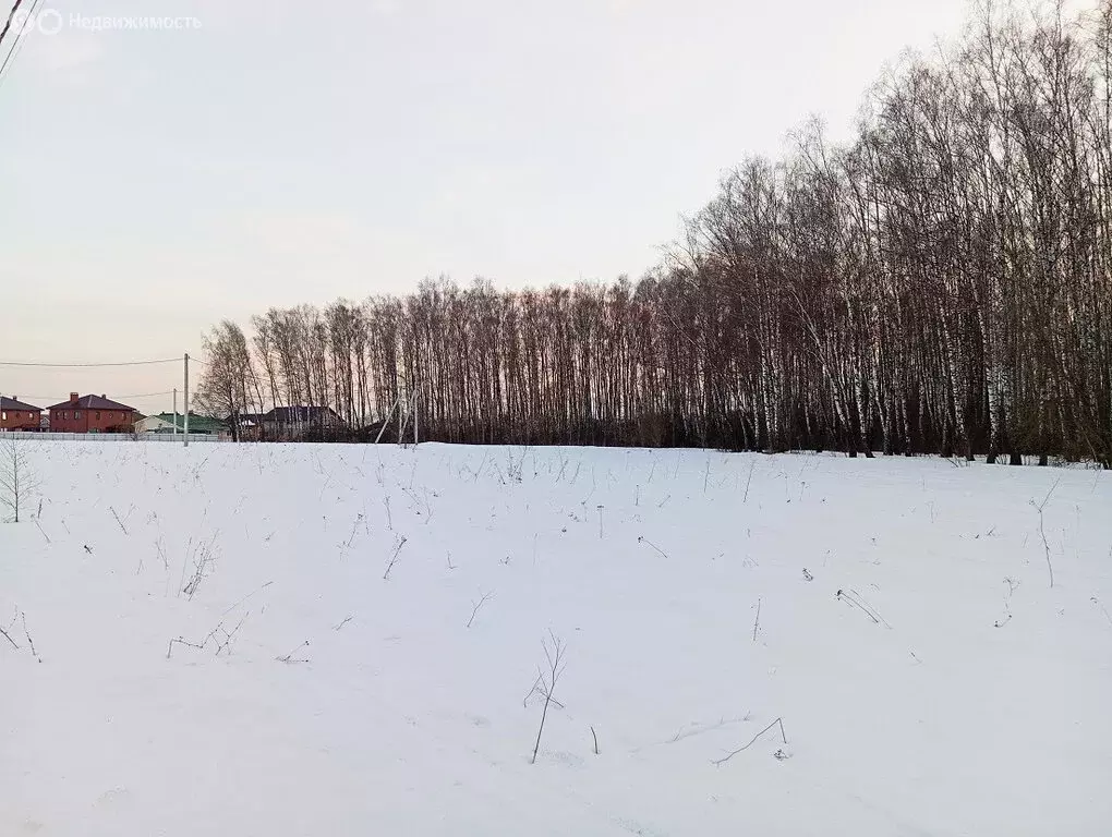 Участок в Московская область, городской округ Серпухов, деревня ... - Фото 1