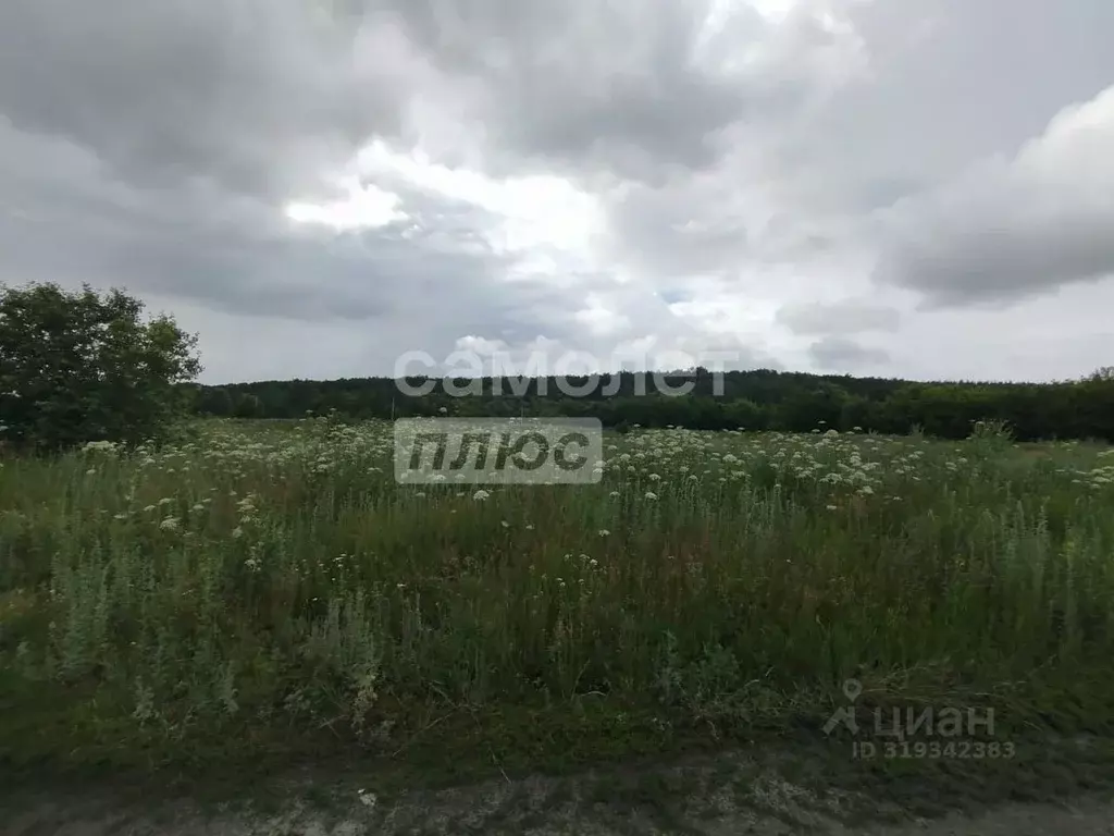 Участок в Пензенская область, Пензенский район, Засечный сельсовет, с. ... - Фото 1