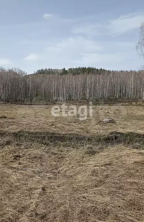 Участок 10 сот. (ИЖС) - Фото 0