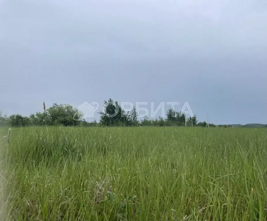 Участок в Тюменская область, Тюменский район, с. Каменка  (200.0 сот.) - Фото 0