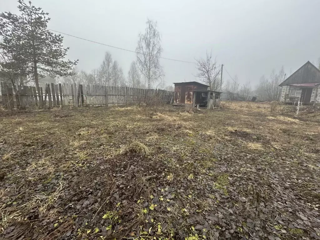 Участок в Брянская область, Брянский район, Супоневское с/пос, Рассвет ... - Фото 1