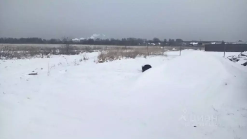 Участок в Московская область, Орехово-Зуевский городской округ, д. ... - Фото 2