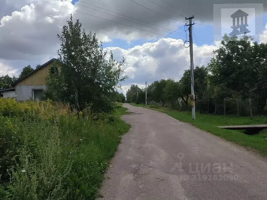Участок в Калининградская область, пос. Лесное ул. Крымская (6.0 сот.) - Фото 1