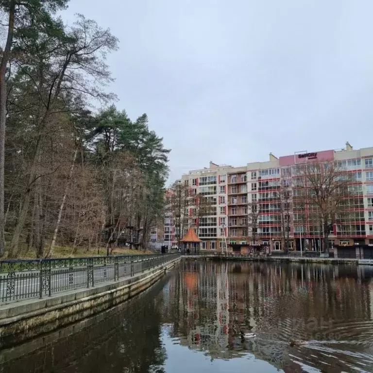 2-к кв. Калининградская область, Светлогорск Майский проезд, 3 (60.1 ... - Фото 2