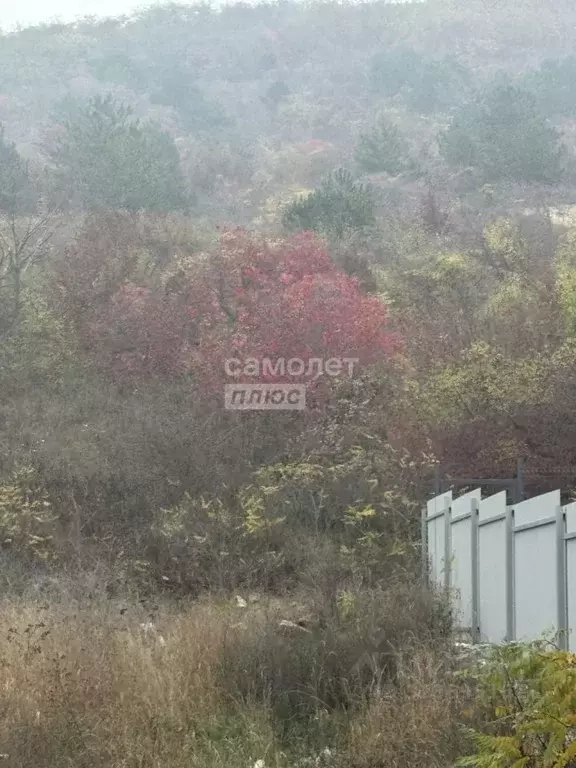 Участок в Краснодарский край, Анапа муниципальный округ, с. Супсех ул. ... - Фото 2