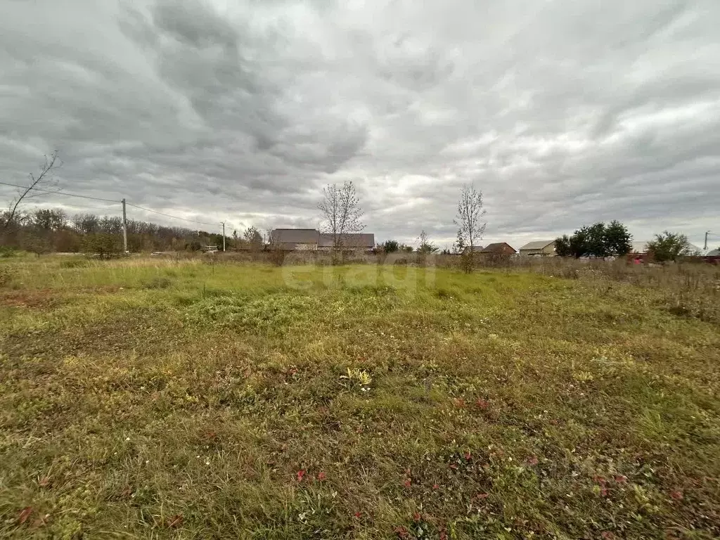 Участок в Белгородская область, Прохоровка рп, пос. Борщевка ул. ... - Фото 2