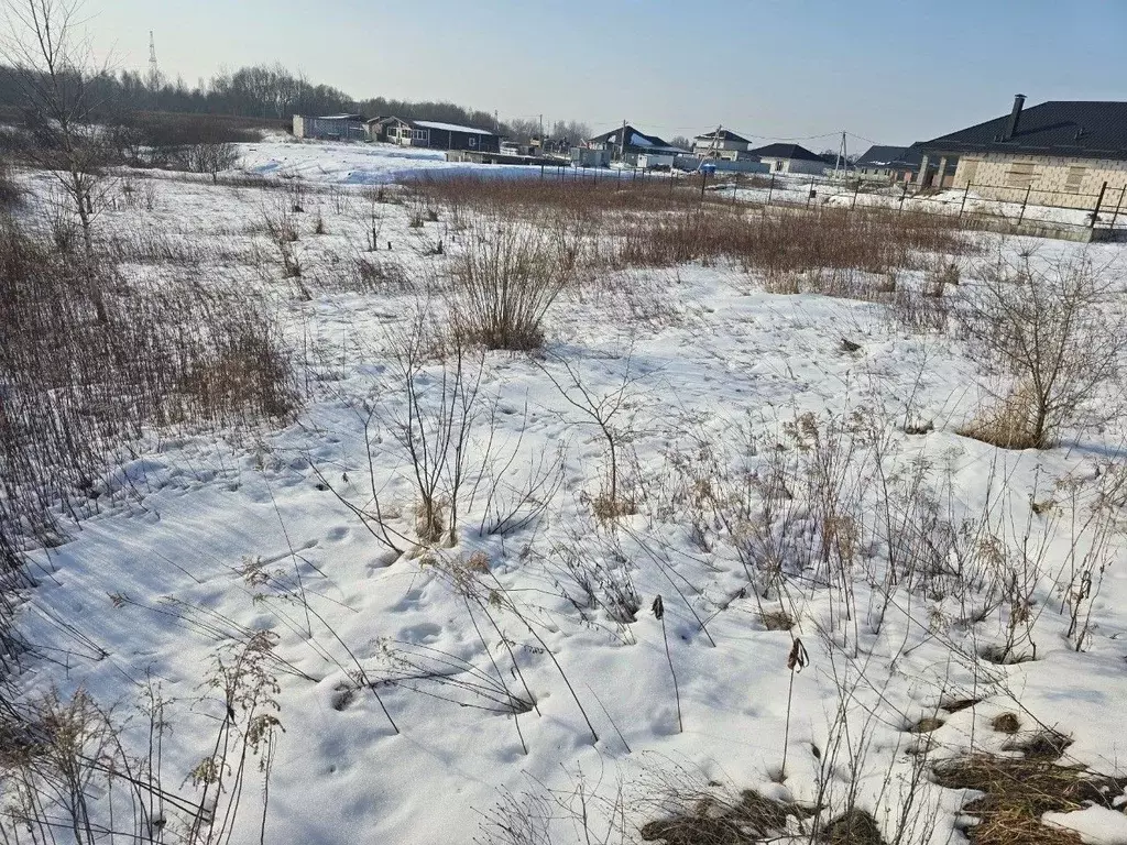 Участок в Калининградская область, Гурьевский муниципальный округ, ... - Фото 2