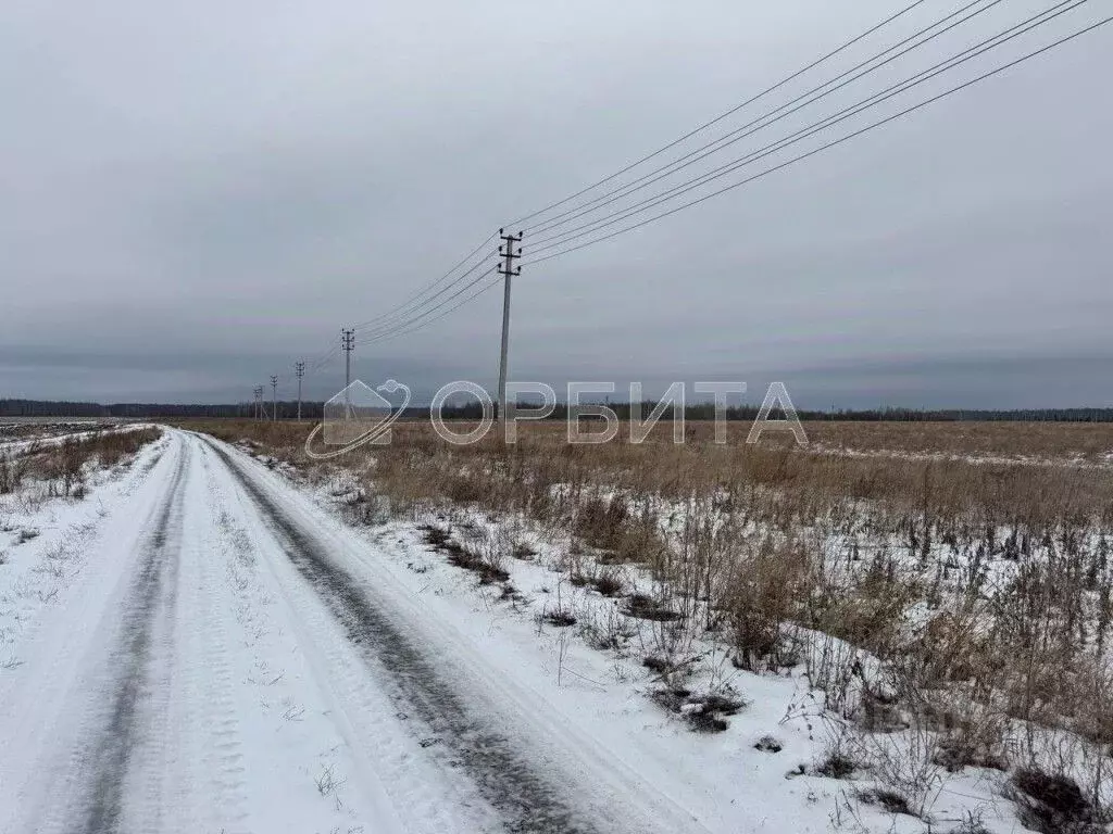 Участок в Тюменская область, Тюменский район, д. Елань 14 (8.0 сот.) - Фото 1