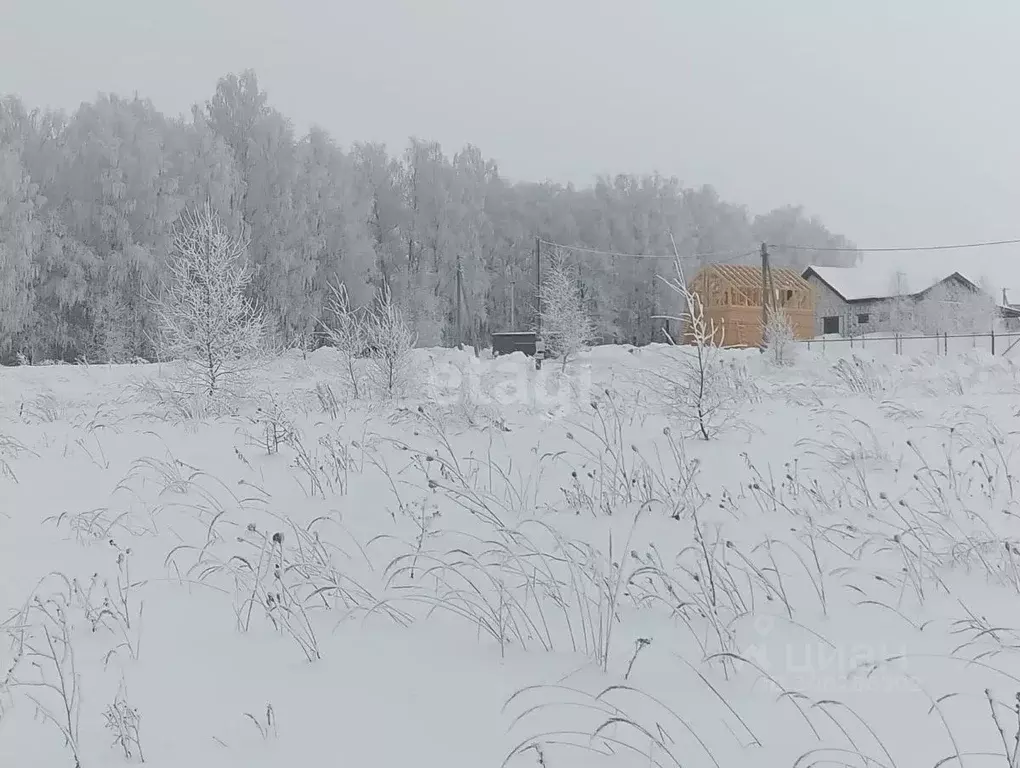 Участок в Нижегородская область, Кстовский муниципальный округ, с. ... - Фото 1